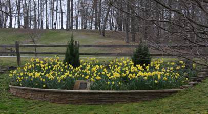 March 14 2016 full bloom